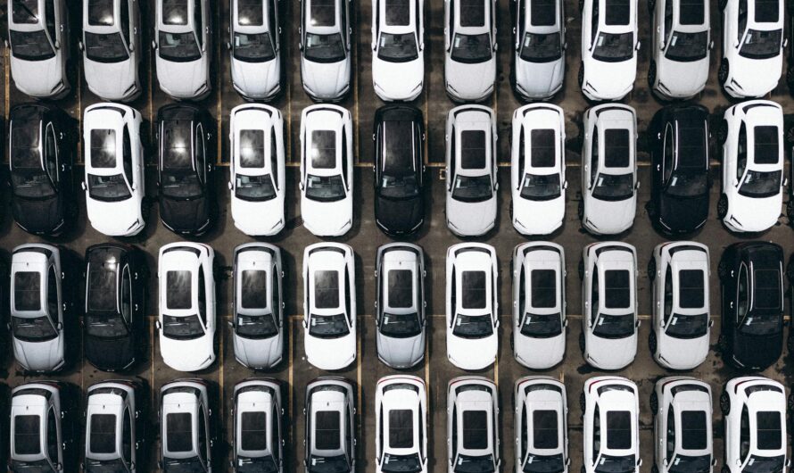 Avis Typologie : test complet marque 2026